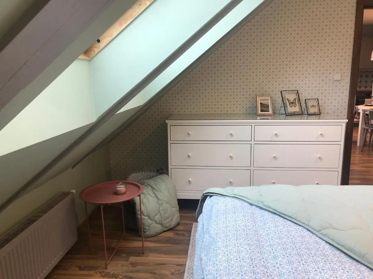 Attic Apartment On Waterfront / View / Netflix プラハ