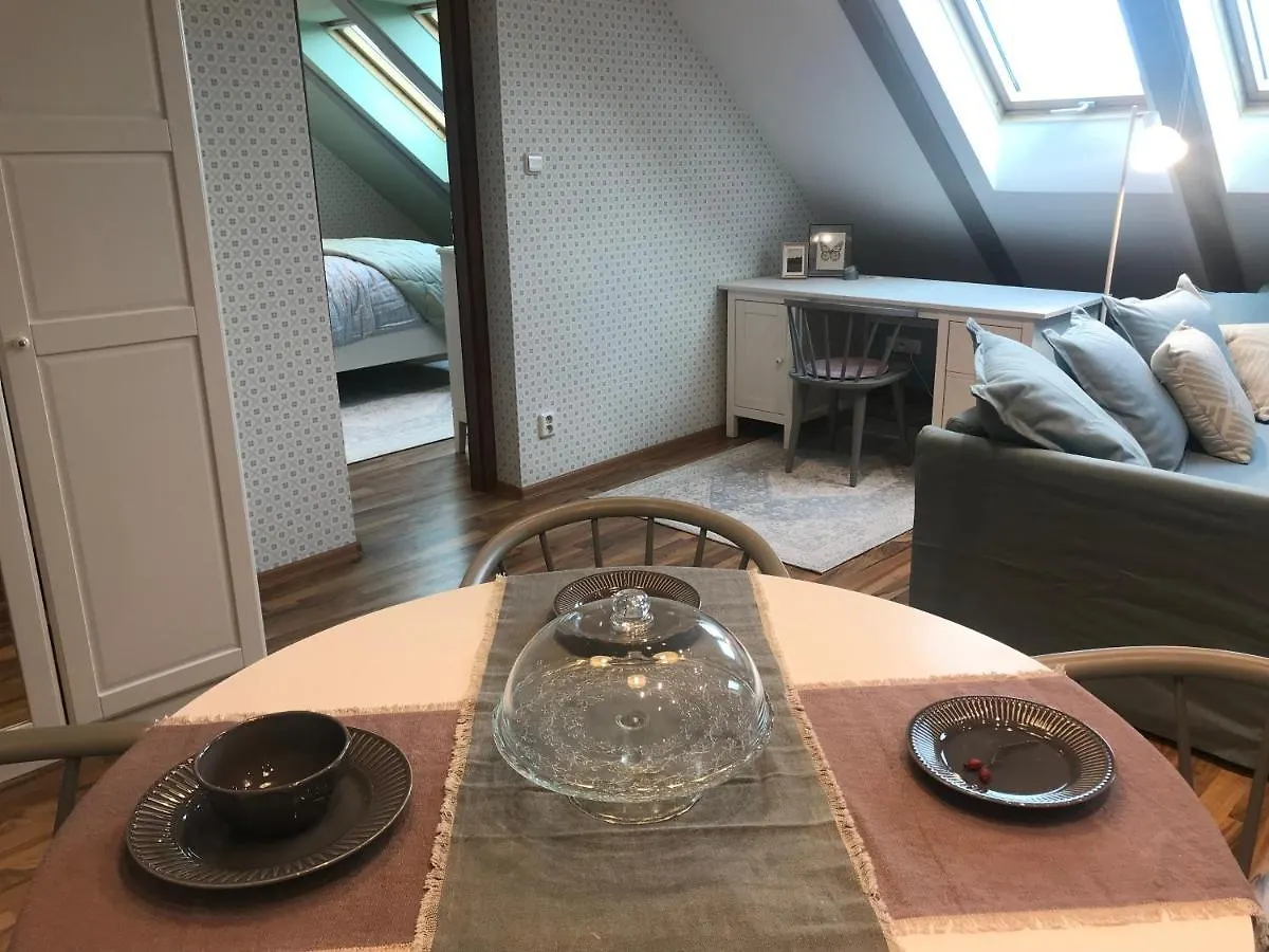 Attic Apartment On Waterfront / View / Netflix プラハ