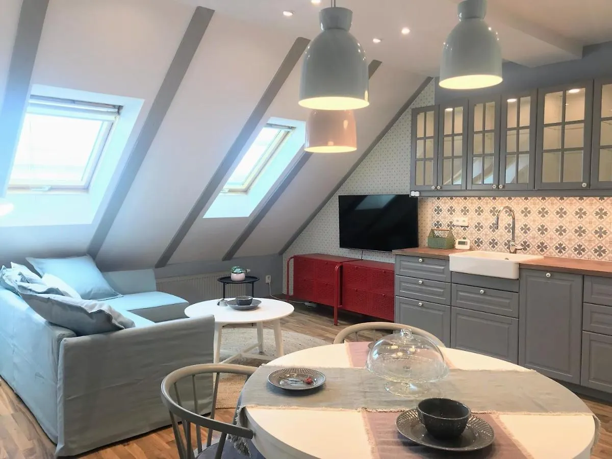 Attic Apartment On Waterfront / View / Netflix プラハ